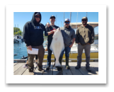 May 11, 2018 : 45 lbs.Halibut - Race Rocks - Pete, Tom, Ross, & Jake from Prince Albert and Victoria BC