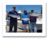 July 31, 2018 : 15, 14, 8 lbs. Chinook Salmon - Sooke BC - Dan, Chad, and Fuji from Victoria BC