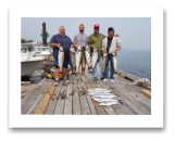 August 20, 2018 : 24, 20, 18, 14, 12 lbs chinook salmon & sockeye salmon - Sooke BC - Big Al, Mark, Steve, & Greg from Calgary Alberta