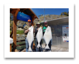 March 30, 2019 : 40, 38, 28 lbs Halibut - Whirl Bay - David, Robert, & Scott from Vancouver, BC