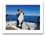 March 29, 2019 : 27 lbs Halibut - Whirl Bay - Buddy's Day Out