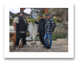 May 14, 2019 : 44, 17 lbs Halibut - Albert Head - Big Al, Joe, and Allen from Calgary Alberta