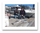 August 5, 2020 : 79 cm 17 lbs, 13, 12 lbs Chinook Salmon - Ryan & Conlan Wood from Maple Ridge BC