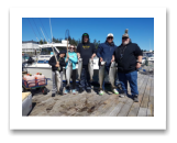 August 28, 2020 : 17 to 11 lbs Chinook Salmon - Ed from Vancouver, Jonathan from Victoria, PJ, Veronica, Macarius from Mission BC