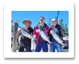 August 10, 2022 : 17, 16, 11, 10 lbs Chinook Salmon, Coho - 4th year in a row. Brianna, Justin, Sandy, & Tracy.
