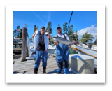 September 5, 2022 : 15 lbs Chinook Salmon & Coho's - Friends day Trevor from Trotac Marine
