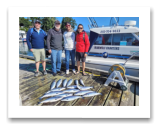 July 28, 2023 : Limit of Pink & Coho Salmon - Jeremy, Logan, Chris, & Mike from Chicago & Indiana