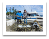 August 8, 2023 : 16 & 14 lbs Chinook & Limit of Pink Salmon - Norm & Ray from Victoria BC