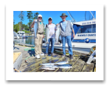 August 10, 2023 : 16, 15 & 11 lbs Chinook & Limit of Pink & Coho Salmon - Bill, Scott, & Gerry from Victoria