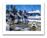 August 7, 2023 : 19, 17,15 lbs Chinook & Limit of Pink Salmon - Sean, Andrew, & Jason from Victoria BC