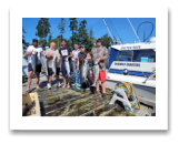 August 12, 2023 : 14 to 19 lbs Chinook & Limit of Pink & Coho Salmon - Day 2 of 3 - This is their 24th year in a row fishing with Bluewolf Charters - Big Al and Guests