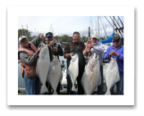 April 23, 2014: 52, 34, 28, 20, 20 lbs. Halibut - Constance Bank  - Uncle Joe & friends Bob, Jerry, & Roger from Parksville BC