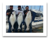May 10, 2014: 22, 28, 35 lbs. Halibut - Constance Bank -  Dave, Dave, and Ken from Vancouver BC - Day 2 of 2