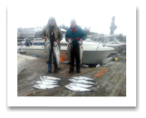 September 2, 2014 : 24, 22, 21, 15, 12, 12 lbs. Chinook Salmon, 5 Hatchery Coho & 1 Sockeye Salmon - Muir Creek - Charlie & Bob from Victoria BC