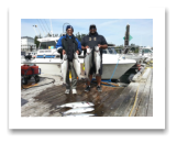 August 26, 2015 : 18, 16, 15, 15 lbs. Chinook Salmon - Muir Creek - Jason & John from Victoria BC