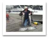 September 8, 2015 : 17, 12, 5 lbs. Chinook Salmon, Hatchery Coho & Pink Salmon - Muir Creek - Wallace from Australia