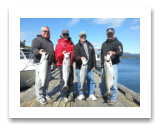 September 10, 2016 : 18 lbs. Chinook Salmon, 12 & 11 lbs. Coho, & 16 lbs. Chum Salmon - Muir Creek -  Jerry, John, Scott, & Dean fron Victoria BC